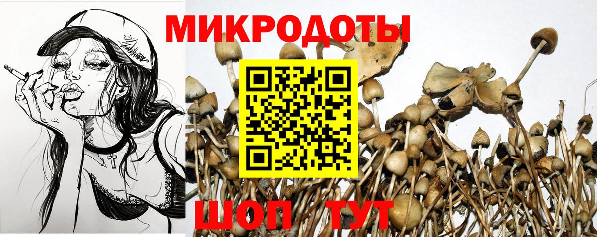 Псилоцибиновые грибы MAGIC MUSHROOMS  Вход с VPN  где найти   Геленджик 